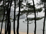 天草海辺の自然学校