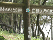 天草海辺の自然学校