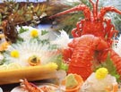 七色玉手箱プラン