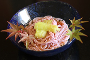 茄子と梅そうめん 旨出汁