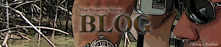 ���[�b�^�X�g�[��BLOG�j���[�X