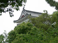 樹木の間から坤櫓