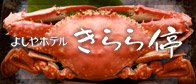 �悵��z�e�� ������