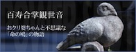 �p���[�X�|�b�g�u�S�������ϐ����v