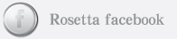 rosettastone group