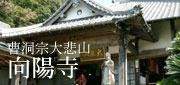 曹洞宗大悲山 向陽寺