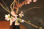 松島観光ホテル岬亭