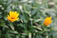 松島観光ホテル岬亭