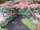 上賀茂神社