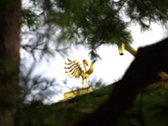 世界文化遺産、金閣・鹿苑寺