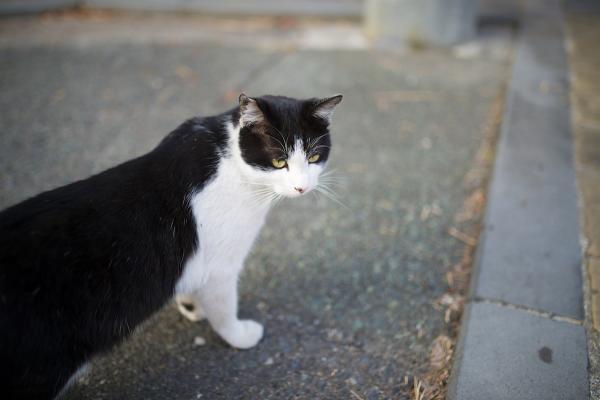 ファイル名: DF1_0281.jpg
ファイルサイズ: 22.8KB DF1_0281