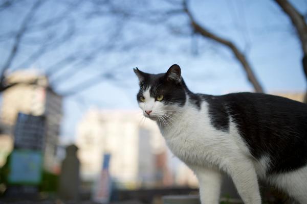 ファイル名: DF1_0310.jpg
ファイルサイズ: 22.8KB DF1_0310
