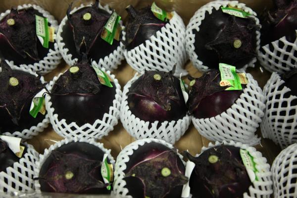 ファイル名: eggplant.jpg
ファイルサイズ: 287.6KB
→クリックで元のサイズを表示 eggplant