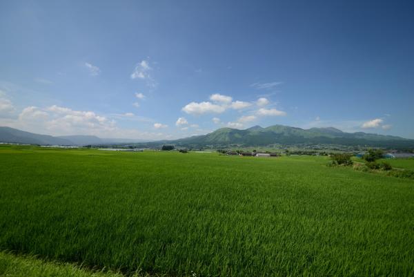 ファイル名: minamiaso.jpg
ファイルサイズ: 286.1KB
→クリックで元のサイズを表示 minamiaso