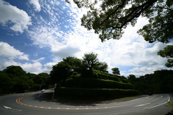 sho-blog2