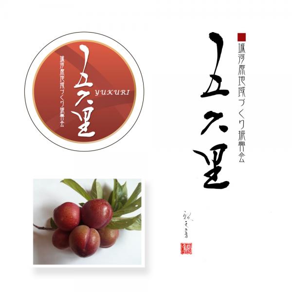 ファイル名: yukurilogo.jpg
ファイルサイズ: 227.5KB
→クリックで元のサイズを表示 yukurilogo