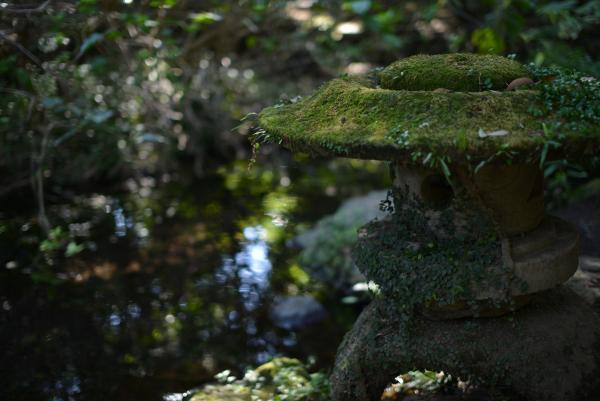 ファイル名: ishidoro.jpg
ファイルサイズ: 1.43MB
→クリックで元のサイズを表示 ishidoro