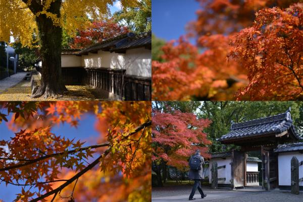 ファイル名: photo3.jpg
ファイルサイズ: 1.54MB
→クリックで元のサイズを表示 photo3