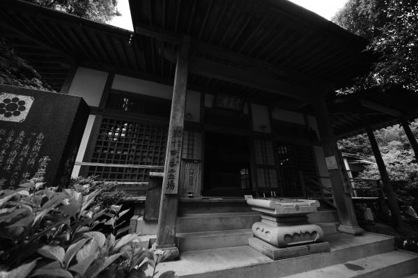 ファイル名: DFD_0899.jpg
ファイルサイズ: 1.21MB
→クリックで元のサイズを表示 DFD_0899