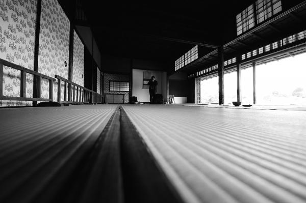 ファイル名: MONO.jpg
ファイルサイズ: 355.5KB
→クリックで元のサイズを表示 MONO
