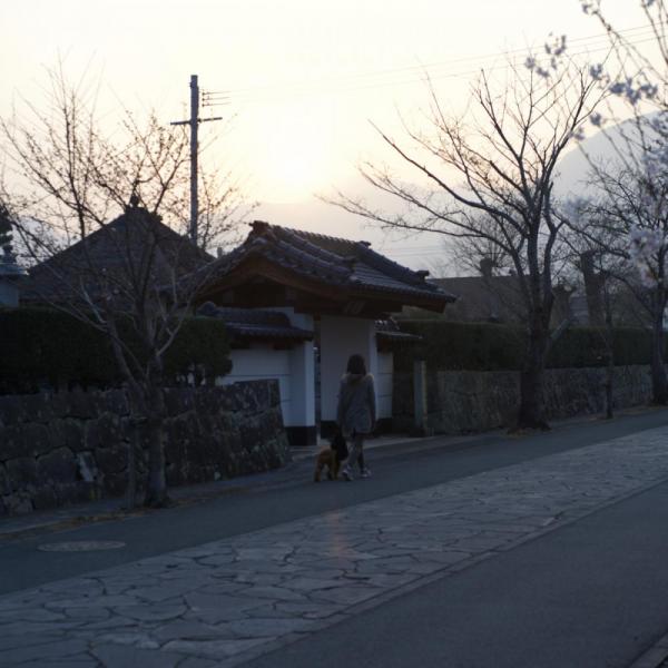 ファイル名: DSC_7084.jpg
ファイルサイズ: 100.6KB
→クリックで元のサイズを表示 DSC_7084