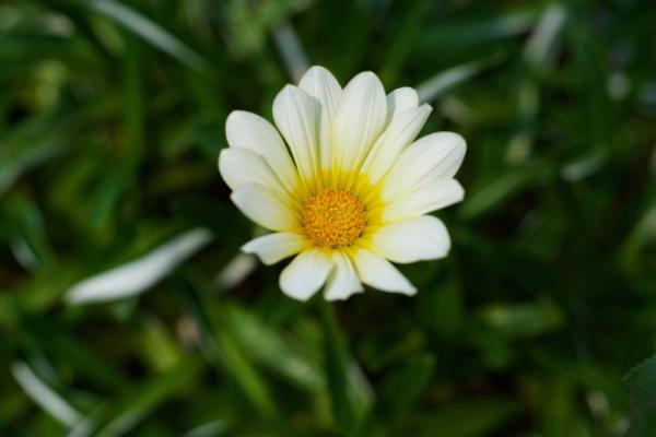ファイル名: DF1_3709.jpg
ファイルサイズ: 40.7KB
→クリックで元のサイズを表示 DF1_3709