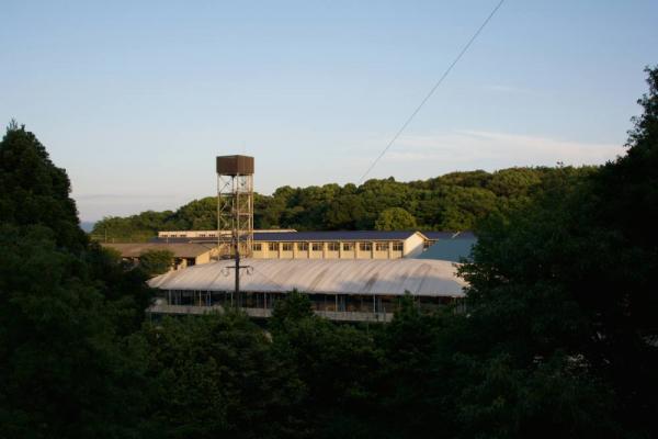 ファイル名: 710_3608.jpg
ファイルサイズ: 55.7KB
→クリックで元のサイズを表示 710_3608