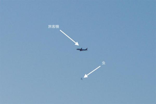 ファイル名: NONALNUM-ODAwXzU0MDkt44OQ44O844K444On44OzMg-E.jpg
ファイルサイズ: 24.4KB
→クリックで元のサイズを表示 NONALNUM-ODAwXzU0MDkt44OQ44O844K444On44OzMg-E