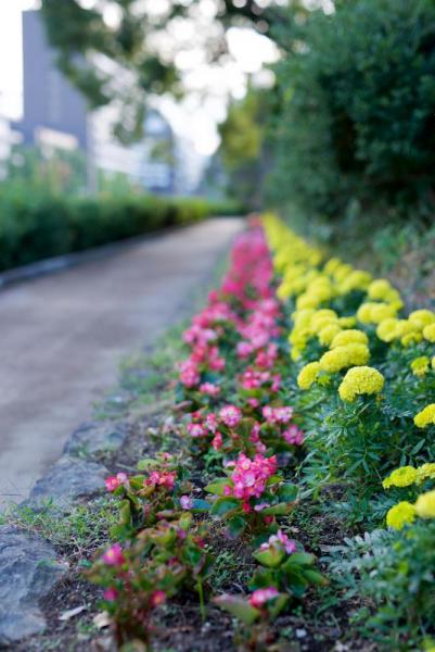 ファイル名: D60_8330.jpg
ファイルサイズ: 93.7KB
→クリックで元のサイズを表示 D60_8330