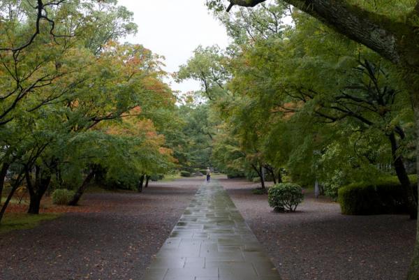 「小雨　写真」の画像検索結果