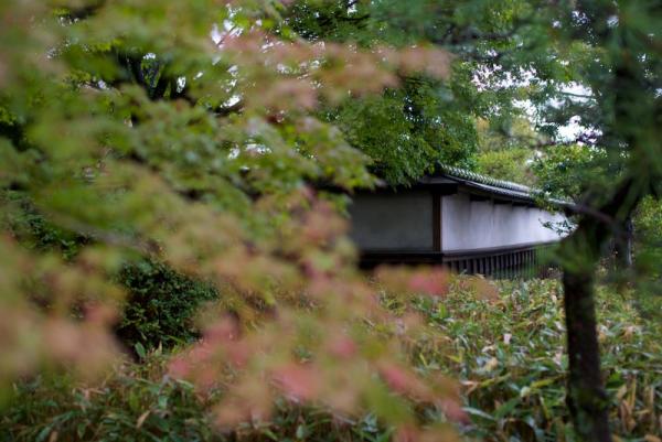ファイル名: D60_8533.jpg
ファイルサイズ: 100.8KB
→クリックで元のサイズを表示 D60_8533