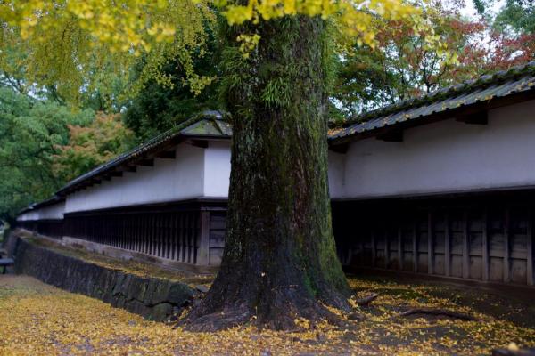 ファイル名: D60_8604.jpg
ファイルサイズ: 134.3KB
→クリックで元のサイズを表示 D60_8604