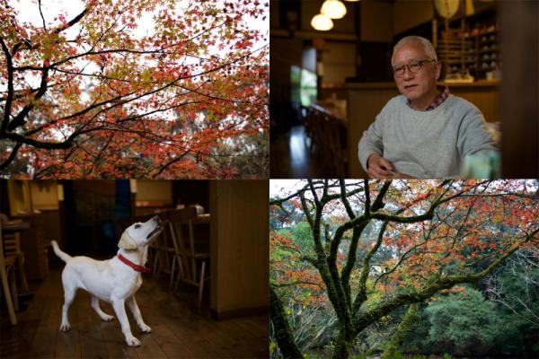 ファイル名: 35mm-tan1.jpg
ファイルサイズ: 141.6KB
→クリックで元のサイズを表示 35mm-tan1