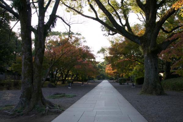 ファイル名: 800_7443.jpg
ファイルサイズ: 128.8KB
→クリックで元のサイズを表示 800_7443