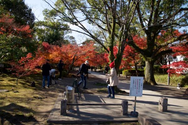 ファイル名: D60_0170.jpg
ファイルサイズ: 171.4KB
→クリックで元のサイズを表示 D60_0170