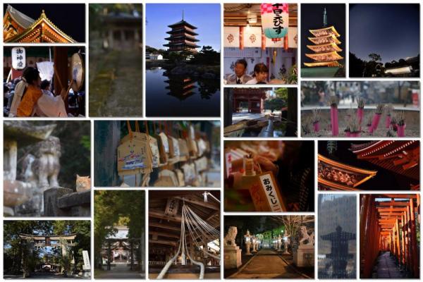 ファイル名: photos.jpg
ファイルサイズ: 127.2KB
→クリックで元のサイズを表示 photos