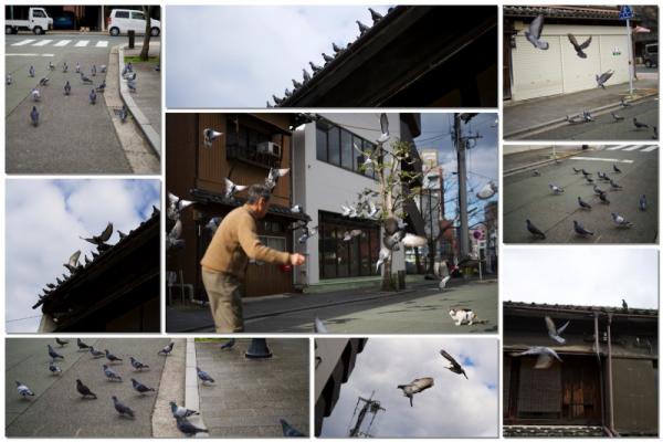 ファイル名: hato.jpg
ファイルサイズ: 476.1KB
→クリックで元のサイズを表示 hato