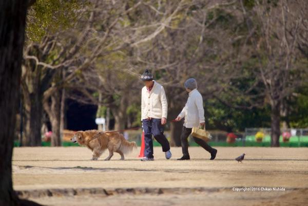 ファイル名: D60_5697.jpg
ファイルサイズ: 459.2KB
→クリックで元のサイズを表示 D60_5697