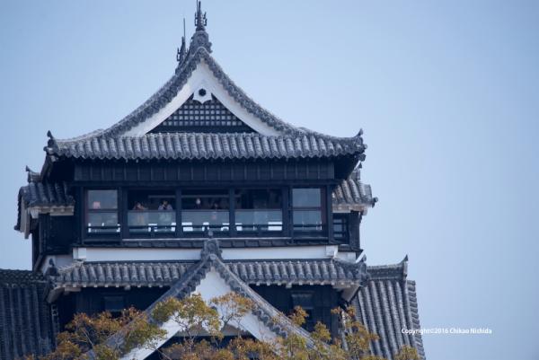 ファイル名: D60_5706.jpg
ファイルサイズ: 422.7KB
→クリックで元のサイズを表示 D60_5706