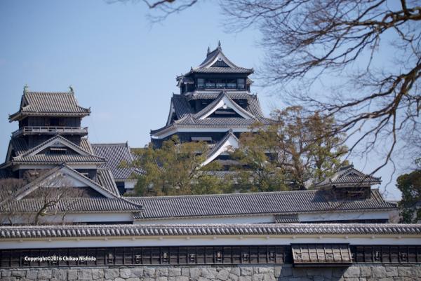 ファイル名: D60_5719.jpg
ファイルサイズ: 611.9KB
→クリックで元のサイズを表示 D60_5719