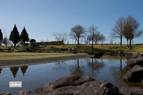 ファイル名: 800_8663.jpg
ファイルサイズ: 475KB
→クリックで元のサイズを表示 800_8663