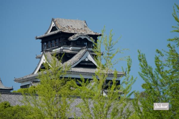 ファイル名: 800_9872.jpg
ファイルサイズ: 522.5KB
→クリックで元のサイズを表示 800_9872