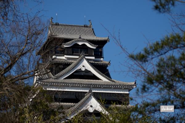 ファイル名: D60_4287.jpg
ファイルサイズ: 560.9KB
→クリックで元のサイズを表示 D60_4287