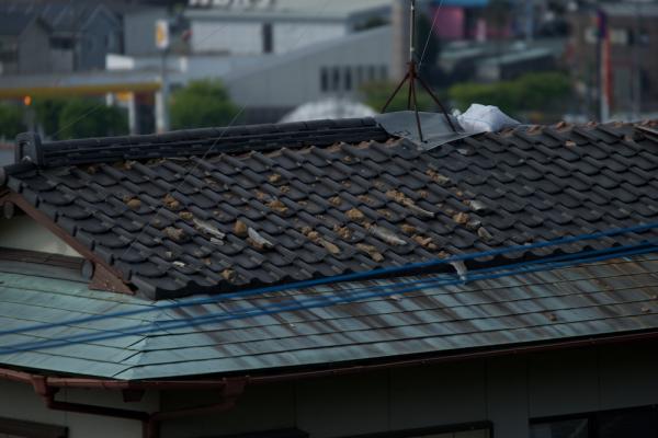 ファイル名: 800_9932.jpg
ファイルサイズ: 734.9KB
→クリックで元のサイズを表示 800_9932