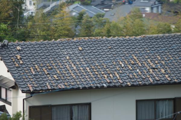 ファイル名: 800_9933.jpg
ファイルサイズ: 909KB
→クリックで元のサイズを表示 800_9933