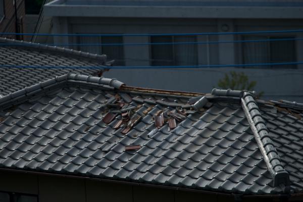 ファイル名: 800_9935.jpg
ファイルサイズ: 741.3KB
→クリックで元のサイズを表示 800_9935