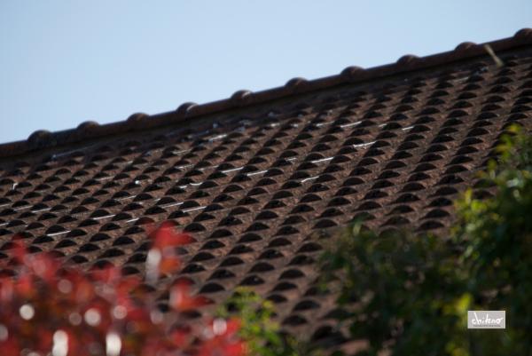 ファイル名: 800_0076.jpg
ファイルサイズ: 419.5KB
→クリックで元のサイズを表示 800_0076