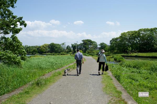 ファイル名: DF1_4477.jpg
ファイルサイズ: 609.8KB
→クリックで元のサイズを表示 DF1_4477