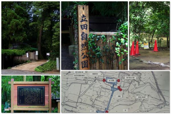 ファイル名: taishoji1.jpg
ファイルサイズ: 654.5KB
→クリックで元のサイズを表示 taishoji1