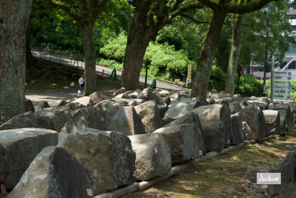 ファイル名: 800_2697.jpg
ファイルサイズ: 602.8KB
→クリックで元のサイズを表示 800_2697